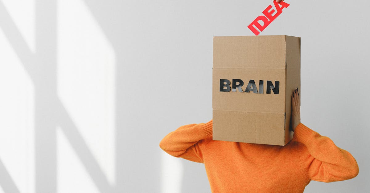 découvrez les concepts clés de la compréhension à travers des analyses approfondies et des exemples illustratifs qui vous aideront à mieux appréhender le monde qui vous entoure.